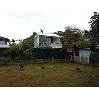รูปถ่าย คอสตาริกา(Costa Rica) ปวยร์โตเบียโฆเดตาลามังกา(Puerto Viejo de Talamanca) 2015-03 38