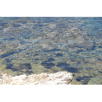 รูปถ่าย ฝรั่งเศส(France) เกาะปอร์เกอรอล(Porquerolles Island) แหลมเลอแก็ง(Pointe du Lequin) 2008-05 40