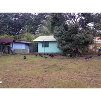 รูปถ่าย คอสตาริกา(Costa Rica) ปวยร์โตเบียโฆเดตาลามังกา(Puerto Viejo de Talamanca) 2015-03 52