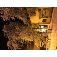 รูปถ่าย ฝรั่งเศส(France) เมแฌฟว์(Megeve) 2016-02 106
