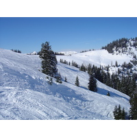 รูปถ่าย ออสเตรีย(Austria) คิทซ์บูเฮล(Kitzbuhel) สกี(Ski) 2005-03 78
