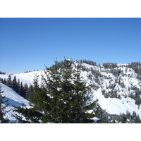 รูปถ่าย ออสเตรีย(Austria) คิทซ์บูเฮล(Kitzbuhel) สกี(Ski) 2005-03 73