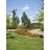 รูปถ่าย ฝรั่งเศส(France) วีลเนิฟ-ลา-การาน(Villeneuve La Garenne) สวนช็องเตอแรน(Parc des Chanteraines) 2007-07 1