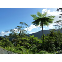 รูปถ่าย นิวแคลิโดเนีย(New Caledonia) 2010-05 123