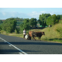 รูปถ่าย ฟิจิ(Fiji) ถนนจากนาดีไปซิงกาโตกา(Nadi to Sigatoka road) 2010-05 30