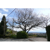 รูปถ่าย ฝรั่งเศส(France) วังซ์(Vence) โอเดอว็องส์(Hauts de Vence) 2008-03 62