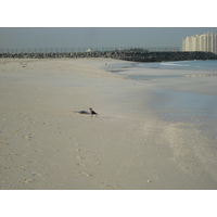 รูปถ่าย สหรัฐอาหรับเอมิเรตส์(United Arab Emirates) ดูไบ(Dubai) หาดจุมัยเราะห์(Jumeirah Beach) 2007-03 33