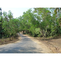 รูปถ่าย พม่า(Myanmar) ถนนจากทวายไปหาดหม่องมะกัน(Road from Dawei to Maungmagan beach) 2005-01 2