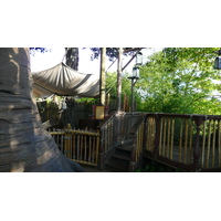 รูปถ่าย ฝรั่งเศส(France) ดิสนีย์แลนด์ปารีส(Disneyland Paris) บ้านต้นไม้โรบินสัน(La Cabane des Robinson) 2007-07 18