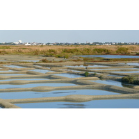 รูปถ่าย ฝรั่งเศส(France) เกรองเดอ(Guerande) นาเกลือ(Les marais salants) 2007-08 26