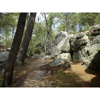 รูปถ่าย ฝรั่งเศส(France) ฟงเทนโบล(Fontainebleau) ทัวร์ป่า(Circuit des 25 bosses) 2007-08 165