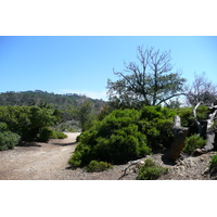 รูปถ่าย ฝรั่งเศส(France) เกาะปอร์เกอรอล(Porquerolles Island) แหลมเลอแก็ง(Pointe du Lequin) 2008-05 46