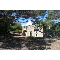 รูปถ่าย ฝรั่งเศส(France) เกาะปอร์เกอรอล(Porquerolles Island) แหลมเลอแก็ง(Pointe du Lequin) 2008-05 51
