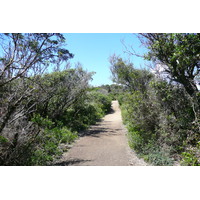 รูปถ่าย ฝรั่งเศส(France) เกาะปอร์เกอรอล(Porquerolles Island) แหลมเลอแก็ง(Pointe du Lequin) 2008-05 25