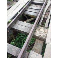 รูปถ่าย คอสตาริกา(Costa Rica) ฝั่งทะเลแคริบเบียน(Caribbean Border) 2015-03 29