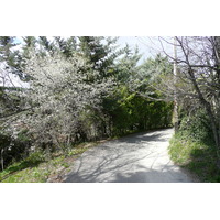 รูปถ่าย ฝรั่งเศส(France) วังซ์(Vence) โอเดอว็องส์(Hauts de Vence) 2008-03 77