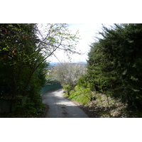 รูปถ่าย ฝรั่งเศส(France) วังซ์(Vence) โอเดอว็องส์(Hauts de Vence) 2008-03 82