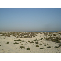 รูปถ่าย สหรัฐอาหรับเอมิเรตส์(United Arab Emirates) ดูไบ(Dubai) หาดจุมัยเราะห์(Jumeirah Beach) 2007-03 28