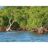 รูปถ่าย ฟิจิ(Fiji) ท่าเรือเดนาเรา(Port Denarau) 2010-05 26