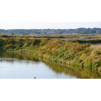 รูปถ่าย ฝรั่งเศส(France) เกรองเดอ(Guerande) นาเกลือ(Les marais salants) 2007-08 30