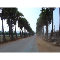 รูปถ่าย พม่า(Myanmar) ถนนจากทวายไปหาดหม่องมะกัน(Road from Dawei to Maungmagan beach) 2005-01 63