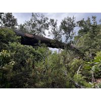 รูปถ่าย ฝรั่งเศส(France) คอร์สิคา(Corsica) คีซา(Chisa) 2022-07 47