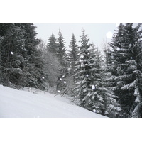 รูปถ่าย ฝรั่งเศส(France) เมแฌฟว์(Megeve) มงดาร์บัว(Mont d'Arbois) 2010-02 18