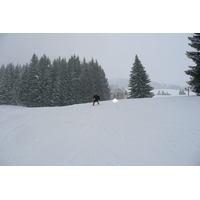 รูปถ่าย ฝรั่งเศส(France) เมแฌฟว์(Megeve) มงดาร์บัว(Mont d'Arbois) 2010-02 7