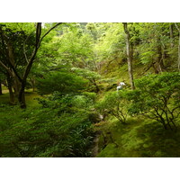 รูปถ่าย ญี่ปุ่น(Japan) เกียวโต(Kyoto) วัดกินกะกุจิ (ศาลาเงิน)(Ginkakuji Temple(Silver Pavilion)) 2010-06 79