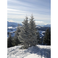รูปถ่าย ฝรั่งเศส(France) ปรา-ซูร์-อาร์ลี(Praz sur Arly) 2019-12 476