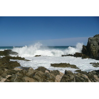 รูปถ่าย แอฟริกาใต้(South Africa) อุทยานแห่งชาติซิตซิคัมมา(Tsitsikamma National Park) 2008-09 328