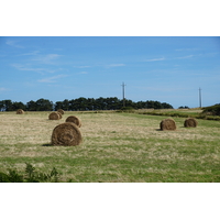 รูปถ่าย ฝรั่งเศส(France) เกาะแบล-อีล(Belle-Ile) 2016-08 248