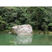 รูปถ่าย คอสตาริกา(Costa Rica) แม่น้ำปากัวเร(Pacuare River) 2015-03 209