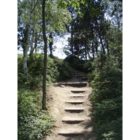 รูปถ่าย ฝรั่งเศส(France) วีลเนิฟ-ลา-การาน(Villeneuve La Garenne) สวนช็องเตอแรน(Parc des Chanteraines) 2007-07 49