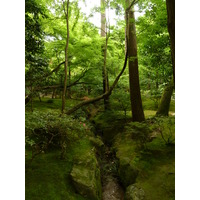 รูปถ่าย ญี่ปุ่น(Japan) เกียวโต(Kyoto) วัดกินกะกุจิ (ศาลาเงิน)(Ginkakuji Temple(Silver Pavilion)) 2010-06 74