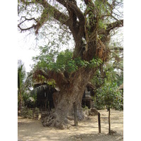 รูปถ่าย พม่า(Myanmar) ทวาย(Dawei (TAVOY)) 2005-01 157