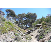 รูปถ่าย ฝรั่งเศส(France) เกาะปอร์เกอรอล(Porquerolles Island) หาดเลอแก็ง(Lequin beach) 2008-05 8