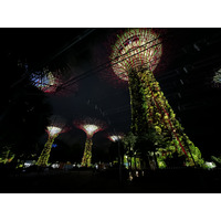 รูปถ่าย สิงคโปร์(Singapore) การ์เดนส์บายเดอะเบย์(Garden by the bay) 2023-01 47