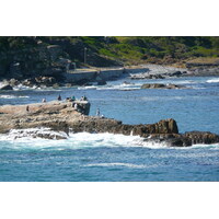รูปถ่าย แอฟริกาใต้(South Africa) เฮอร์มานัส(Harmanus) 2008-09 264