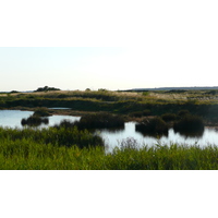 รูปถ่าย ฝรั่งเศส(France) เกรองเดอ(Guerande) นาเกลือ(Les marais salants) 2007-08 24