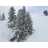 รูปถ่าย ฝรั่งเศส(France) เมแฌฟว์(Megeve) 2016-02 93