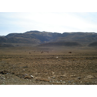 รูปถ่าย คาซัคสถาน(Kazakhstan) ถนนจากอัลมาตีไปหุบผาชารึน(Almaty to Charyn Canyon road) 2007-03 73