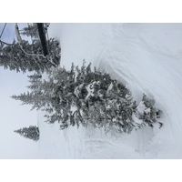 รูปถ่าย ฝรั่งเศส(France) เมแฌฟว์(Megeve) 2016-02 97