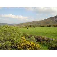 รูปถ่าย ไอร์แลนด์(Ireland) เคอร์รี่(Kerry) ทะเลสาบคารา(Caragh Lake) 2004-05 12