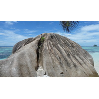 รูปถ่าย เซเชลส์(Seychelles) เกาะลาดีก(La Digue) 2011-10 224