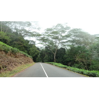 รูปถ่าย เซเชลส์(Seychelles) เกาะมาเฮ(Mahe) 2011-10 105