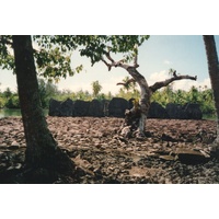 รูปถ่าย เฟรนช์โพลี่นีเซีย(Polynesia) 1993-04 26