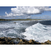 รูปถ่าย กวาเดอลูป(Guadeloupe) แหลมคาสเซิลพอยต์(Castle Point) 2021-02 158