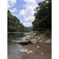 รูปถ่าย คอสตาริกา(Costa Rica) แม่น้ำปากัวเร(Pacuare River) 2015-03 253