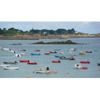รูปถ่าย ฝรั่งเศส(France) การองเทค(Carantec) 2007-08 47